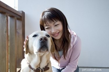Traiter un chien souffrant de problèmes de glande anale