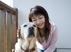 肛門腺の問題で犬を治療する 