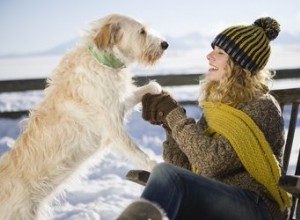 Comment prévenir les dommages causés par la neige aux pattes de chien