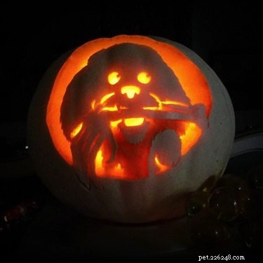 Dog-o-Lanterns:a tendência do Halloween que é tão fofa que é assustadora