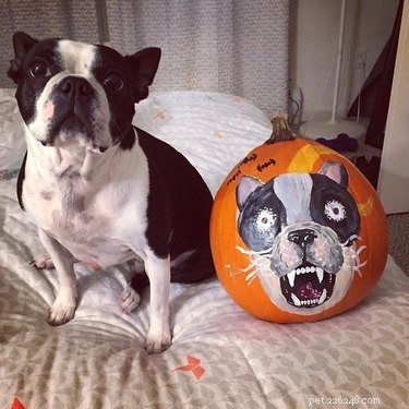 Dog-o-Lanterns:il trend di Halloween così carino fa paura