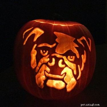 Dog-o-Lanterns:il trend di Halloween così carino fa paura