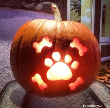 Фонарики-собаки:хэллоуинский тренд, который настолько мил, что даже пугает
