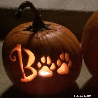 Dog-o-Lanterns:de Halloween-trend die zo schattig is en eng