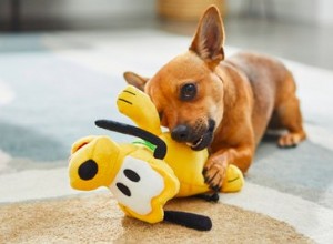10 hraček pro psy Disney, které jsou pro vaše štěně naprosto dokonalé