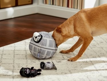 Да пребудет с вами мех:10 очаровательных игрушек и аксессуаров из «Звездных войн» — для собак