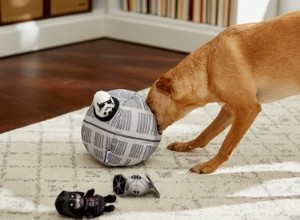 Ať je srst s vámi:10 rozkošných hraček a doplňků ze Star Wars – pro psy