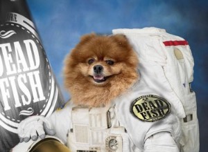 17 cani pronti per viaggiare nello spazio