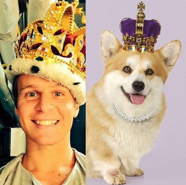 Hamilton as Dogs est notre nouveau truc préféré sur Instagram
