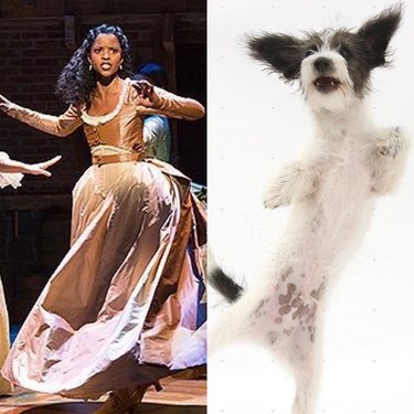 Hamilton jako psi je naše nová oblíbená věc na Instagramu