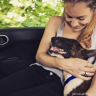 18 adopterade hundar som kommer hem för första gången