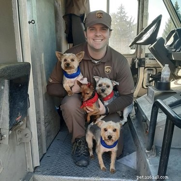 17 cães que amam seu motorista de UPS