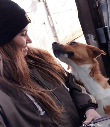 17 honden die dol zijn op hun UPS-chauffeur