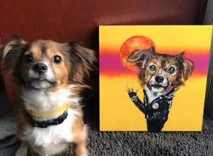 15마리의 개와 그들의 장엄한 초상화