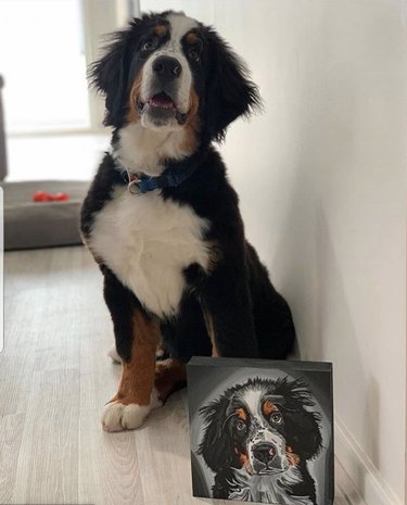 15 chiens et leurs portraits majestueux