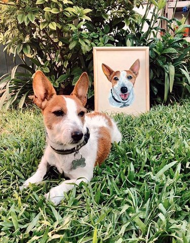 15 cães e seus retratos majestosos