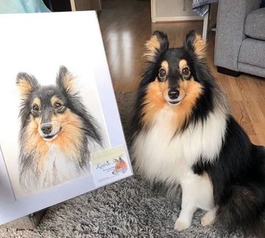 15 cães e seus retratos majestosos