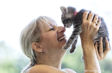Zijn katten gekalmeerd door de geur van hun baasje? Deze studie was bedoeld om erachter te komen