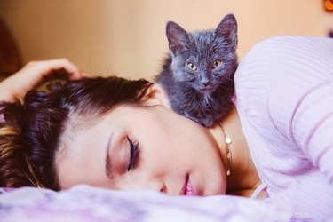Perché il mio gatto mi sveglia nel cuore della notte?