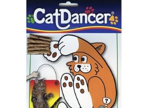 Perché i gatti sono così ossessionati dal giocattolo del gatto ballerino?