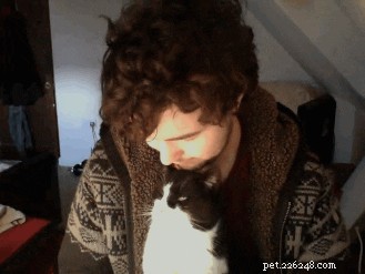 Comment attirer l attention d un chat