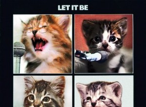 153 кошачьих клички, вдохновленных Beatles