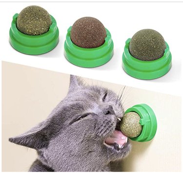 I migliori giocattoli di erba gatta nel 2022