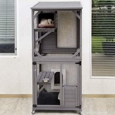 Os melhores compartimentos para gatos ao ar livre