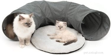 Os melhores túneis para gatos em 2022