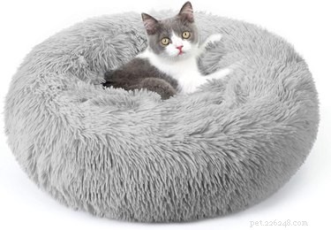 Les meilleurs lits pour chats en 2022
