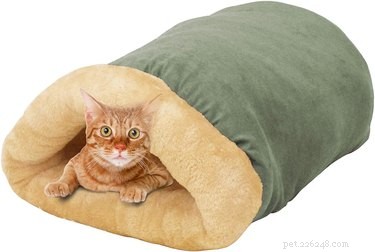 As melhores camas para gatos em 2022