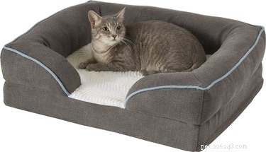 2022年の最高の猫のベッド 
