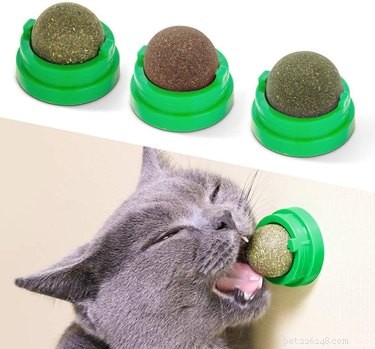 Os melhores brinquedos de mastigar para gatos