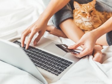 De bästa Amazon Cyber ​​Monday-erbjudandena på kattprodukter