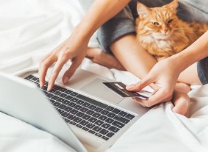 Les meilleures offres Amazon Cyber ​​Monday sur les produits Cat