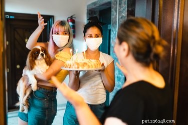 Beïnvloeden maskers de manier waarop onze huisdieren ons waarnemen?