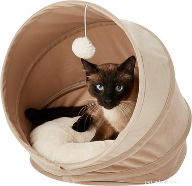 かわいらしさのおすすめ：優先寝台用の7つの猫の洞窟 