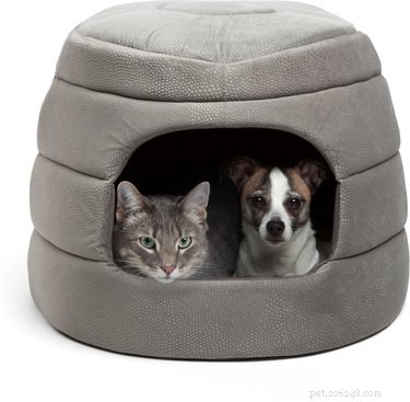 かわいらしさのおすすめ：優先寝台用の7つの猫の洞窟 