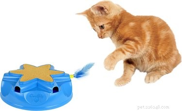Cuteness Picks:7 interactief speelgoed dat uw katten bezig houdt terwijl u vanuit huis werkt
