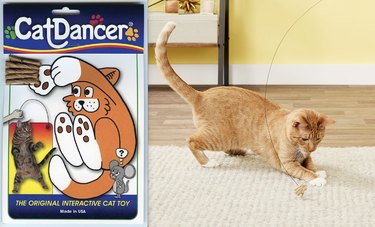 Cuteness Picks :7 jouets super simples pour le chat averti
