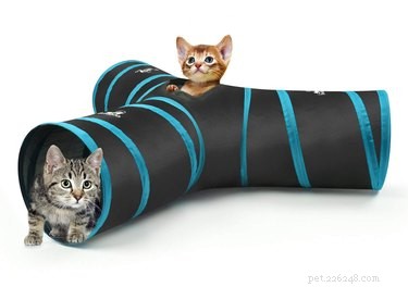 かわいらしさのおすすめ：目の肥えた猫のための7つの超シンプルなおもちゃ 