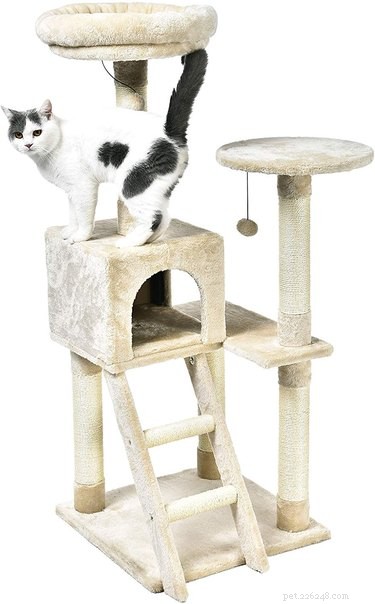 등반에 필요한 모든 고양이를 위한 5가지 놀라운 고양이 나무