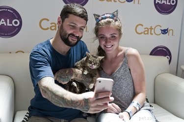 Vše, co potřebujete vědět o CatCon 2019