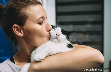 Ai gatti piacciono gli abbracci?