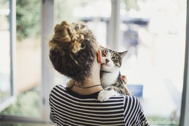 Может ли моя кошка почувствовать, когда у кого-то аллергия на кошку?