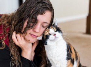 Älskar katter oss bara för att vi matar dem?