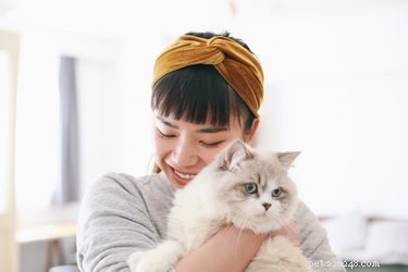 あなたとあなたの猫は満足のいく関係を持っていますか？ 
