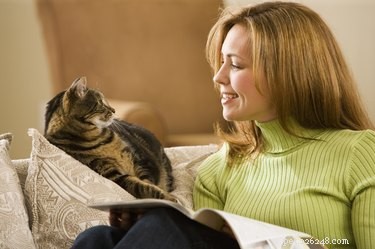 Ваш возраст и уровень образования определяют, как вы разговариваете со своей кошкой