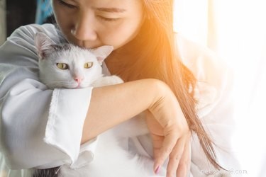 Weten katten dat je ze hebt gered?