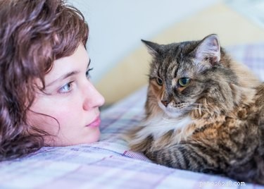 Vad vill katter säga till människor?